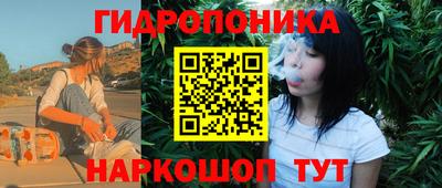 шишки Волжск